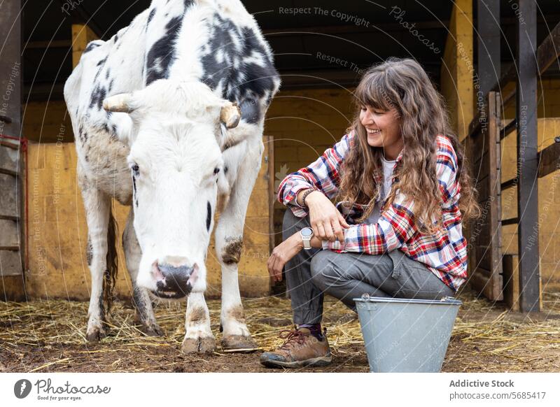Happy farmer woman with a dairy cow on a rural farm adult agriculture animal barn business calf care caress cattle caucasian cheerful confidence countryside