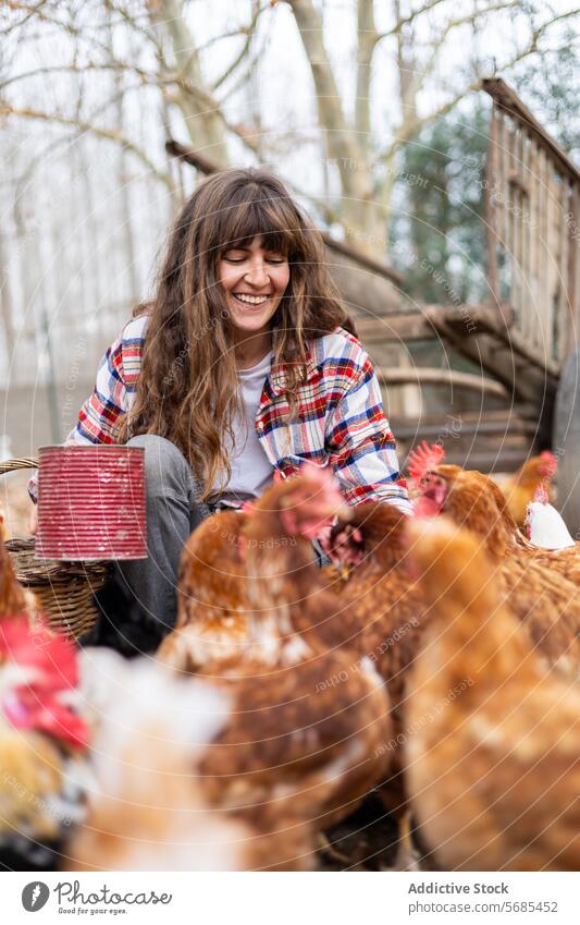 Farmer woman feeding chickens on a rural farm outdoors adult agriculture animal backyard beak bird breeding brown care caucasian cereal corn country countryside
