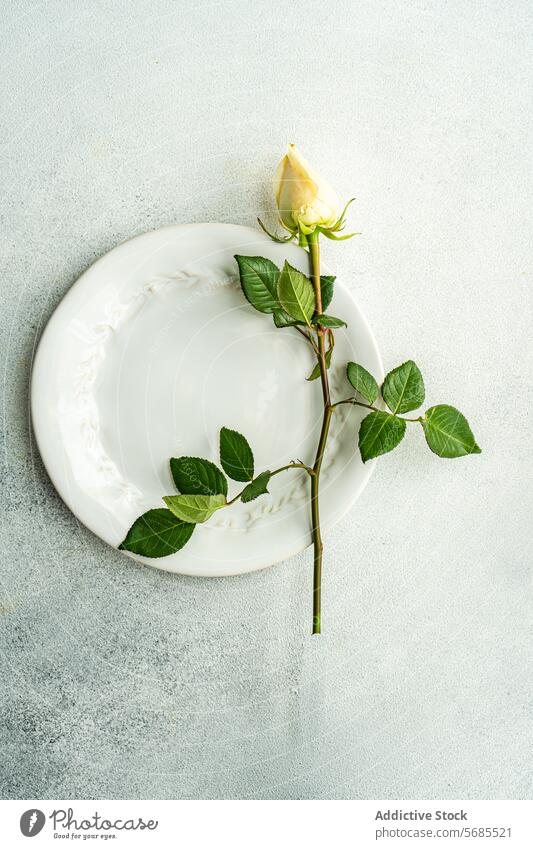 Elegant Table Setting with Peach Roses and Greenery table rose peach green leaf flower ceramic dishware grey elegant dining arrangement decoration event