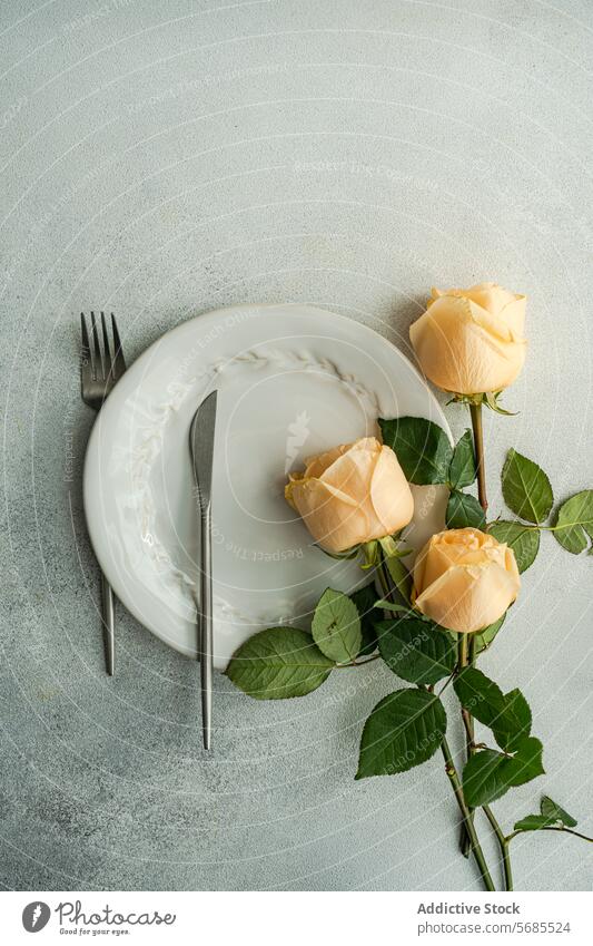 Elegant Dining Table Setup with Delicate Roses table setting rose plate silverware cutlery sunlight shadow floral decoration flower romance simplicity nature