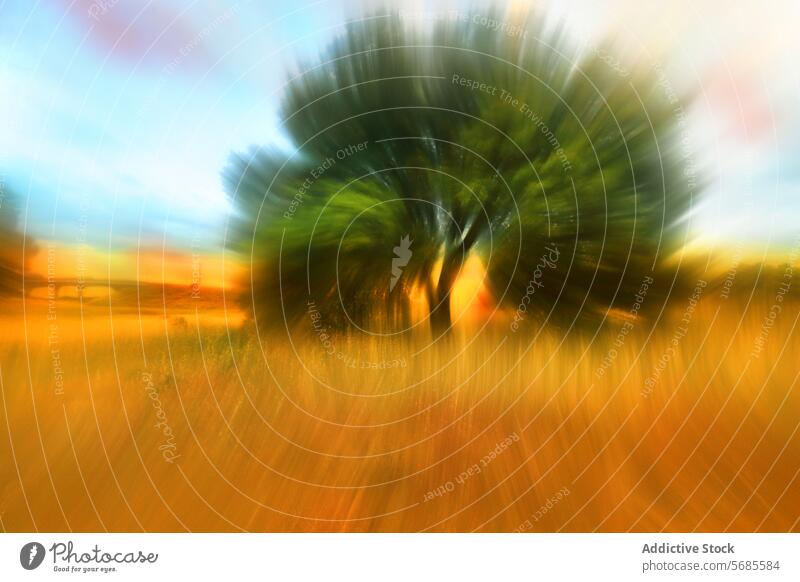 Abstract Blur of a Lone Tree in a Vibrant Field abstract blur tree field vibrant color movement artistic lone tree radiance nature landscape motion bright