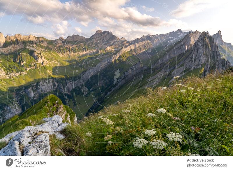 Majestic mountain views in the Appenzell region appenzell peak valley rock formation sunset sky lush rugged dramatic nature landscape outdoor scenic beauty