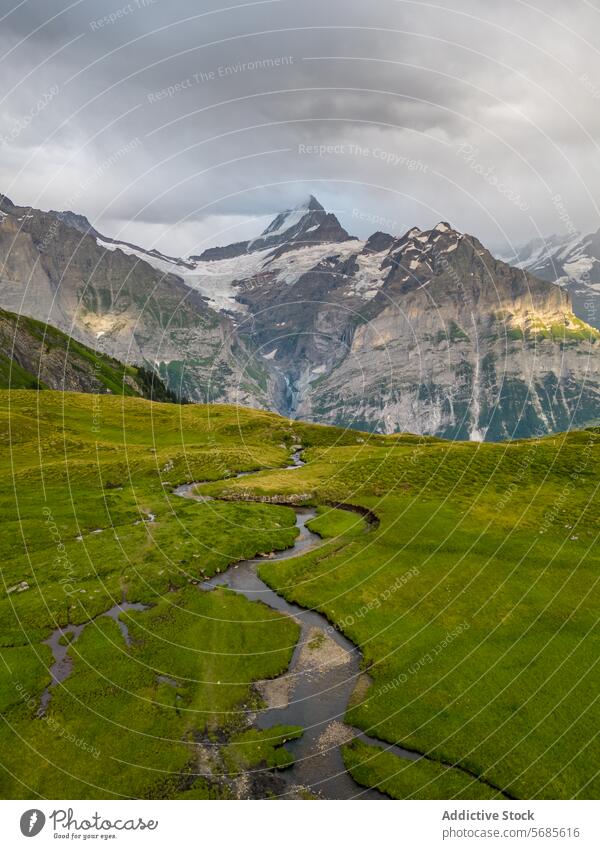 Serene Alpine Landscape with Winding Stream alpine landscape stream meadow green sky moody serene nature outdoor scenic tranquil mountains grassland valley