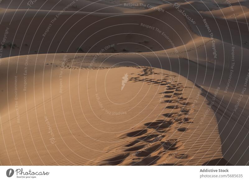 Desert Footprints at Sunset in Erg Chebbi, Morocco morocco desert erg chebbi merzouga footprints sand dunes travel africa landscape nature steps solitude