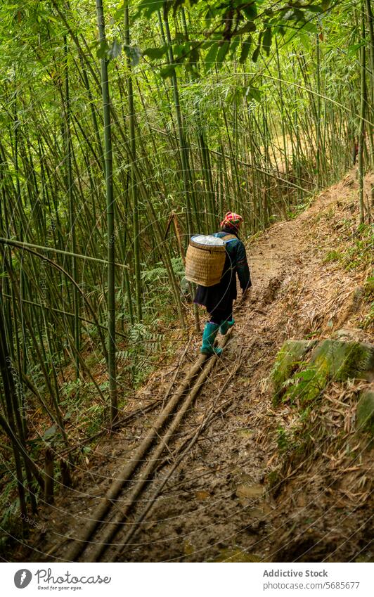 Anonymous hiker walking along bamboo footpath person pathway countryside basket vietnamese sightseeing rain boot traveler nature garden explore natural