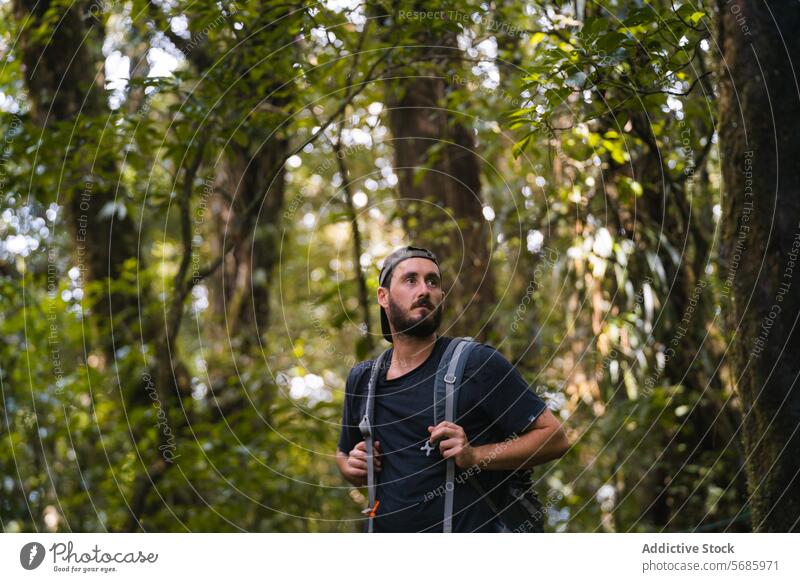 Man exploring lush forest trail with curiosity man hiker backpack greenery adventure awe exploration bearded nature outdoors foliage vegetation dense walking
