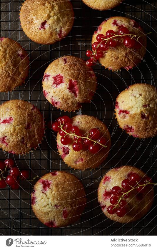 Fresh red currant muffins cooling on wire rack baking homemade pastry dessert snack sweet fruit berry cake treat gourmet food baked goods freshness delicious