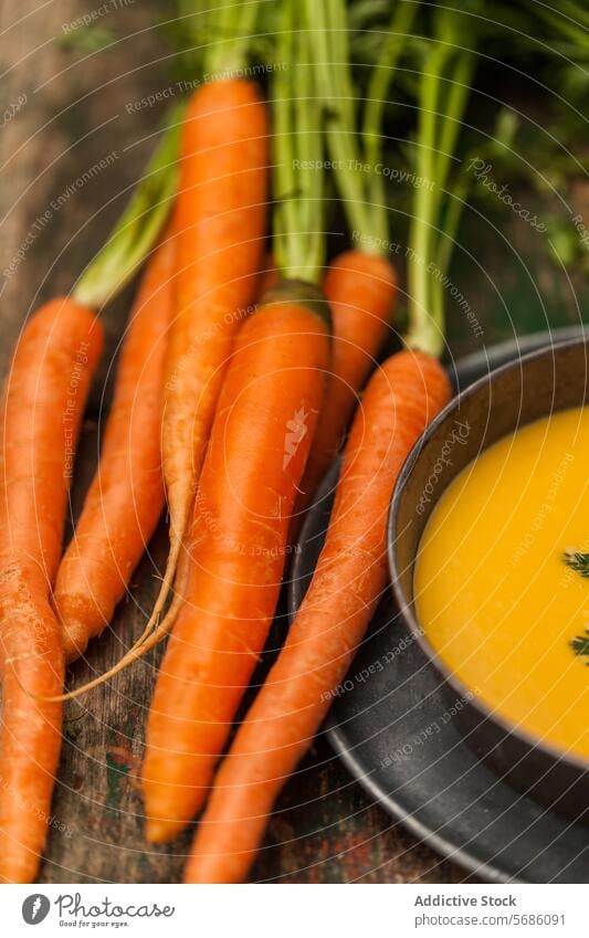 Fresh Carrots with Bowl of Homemade Carrot Soup carrot soup fresh vegetable bowl creamy rustic wooden surface vibrant green tops garnish herb homemade food