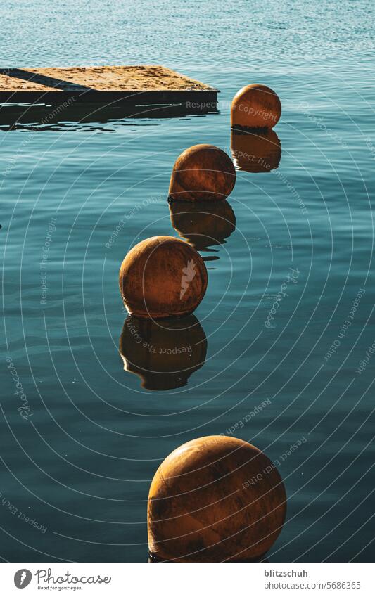 Buoys in the lake buoys Lake Water Winter's day Calm Nature Blue Landscape Relaxation Idyll Environment Surface of water Lakeside tranquillity Reflection