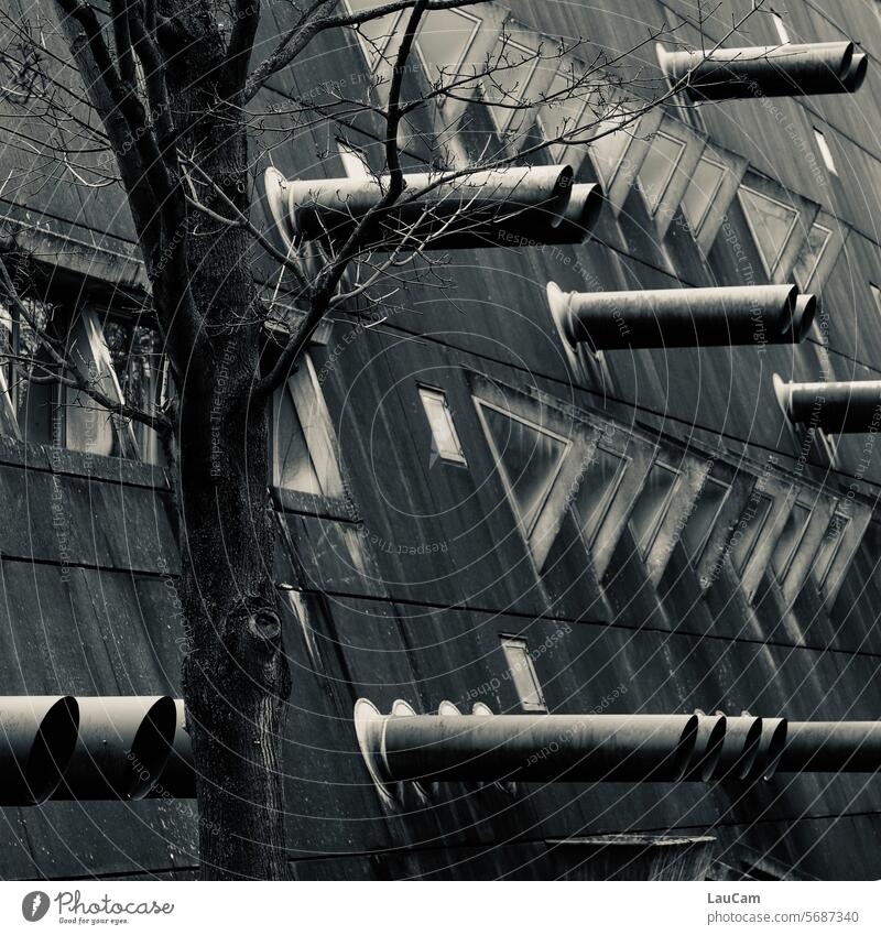 Tree before brutalism Brutalist brutalist architecture Concrete Gray Facade Architecture Building Manmade structures Threat somber Dark takes getting used to