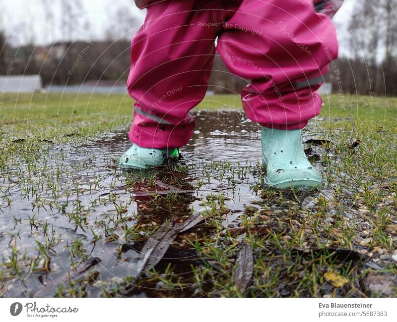 Legs of a toddler in rubber boots and mud pants walking through a puddle. Toddler Child Rain Weather Wet Gloomy Winter Autumn Rainy weather Bad weather