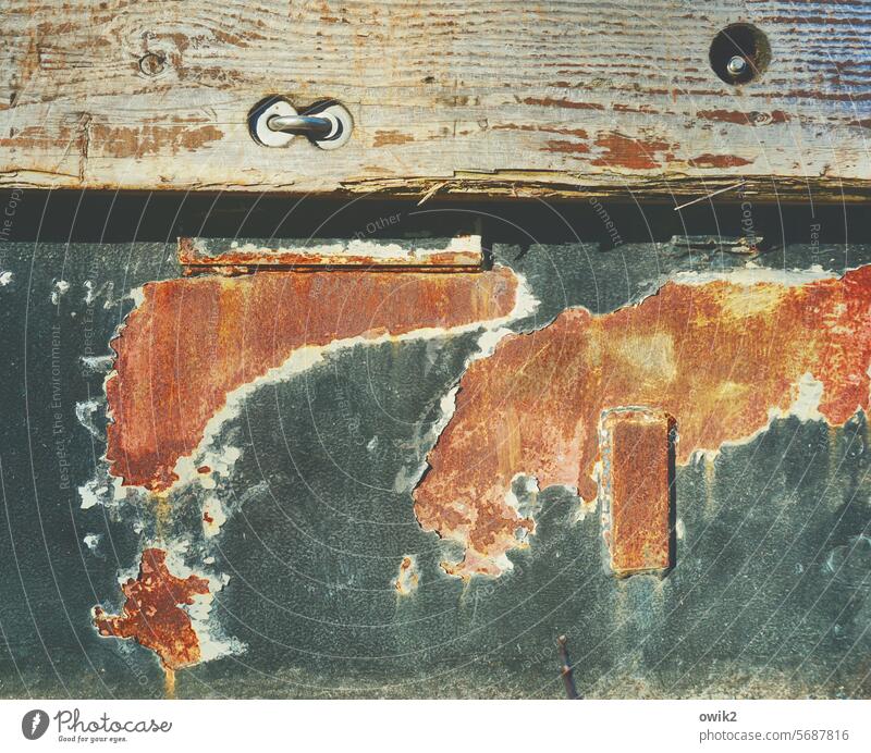 Bulletin Wall (building) rust stains Animal Bullock Transience Abrasion Shabby dilapidated Exterior shot Colour photo Old Deserted Decline Ravages of time