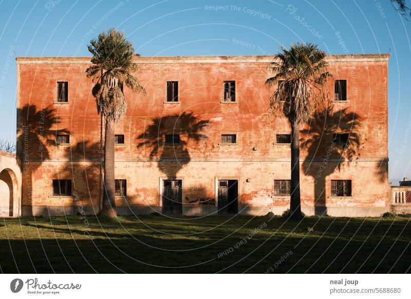 Palm trees cast shadows on a terracotta-colored house facade Building Facade vintage Ruin Shadow Silhouette palms Decline Transience Wall (building) Window