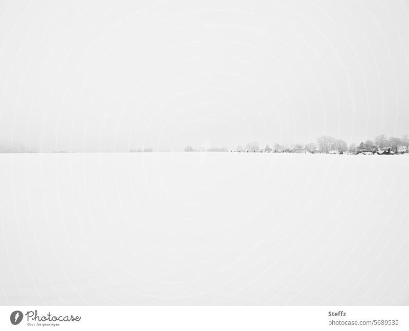 peaceful winter landscape Snowscape Winter Snow layer snow-covered snowy Frost Winter mood chill Cold Winter's day winter cold Weather Climate foggy