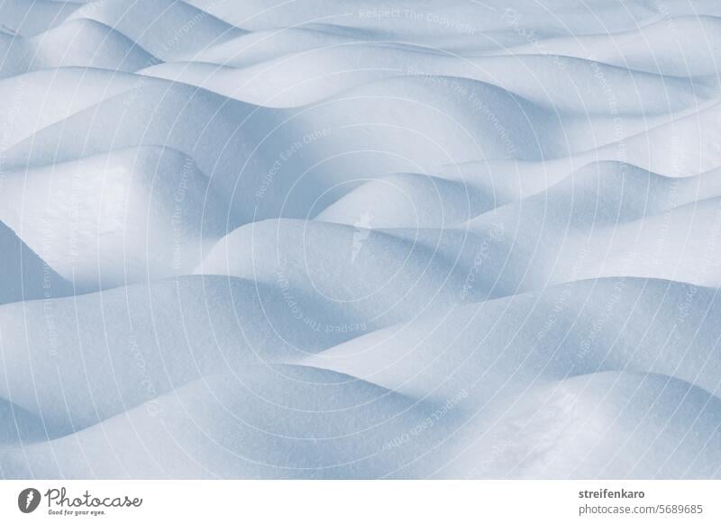 Snow waves II Winter Cold shape structure White Abstract Calm unostentatious Nature Frost Ice Exterior shot Pattern Structures and shapes naturally Detail