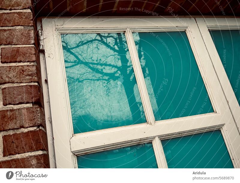 Windows with white frames, the windows are covered with turquoise foil reflection Turquoise Packing film masked Window transom and mullion Brick Brick wall