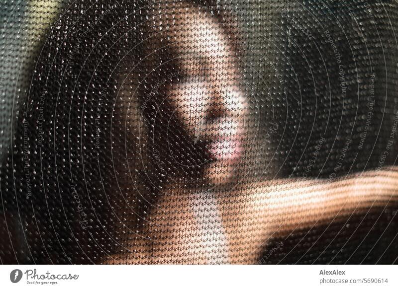 Young, long-haired woman out of focus behind transparent curtain/net in semi-darkness Woman Young woman Long-haired Dark Black Net Drape transparency Adults