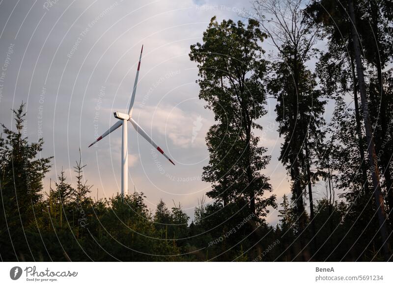 Wind turbine between trees in a forest in front of a beautifiul, pastel colored evening sky Clean Cleantech Country Countryside Electrical Electricity Energy