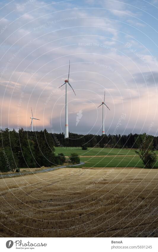 Wind turbines between trees in a forest in front of a beautifiul, pastel colored evening sky Clean Cleantech Country Countryside Electrical Electricity Energy