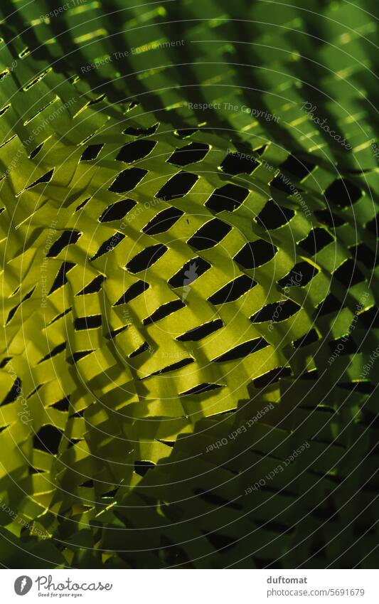Green, texture, paper pattern Packaging material structure Pattern blurriness background Background picture backgrounds Shadow Shadow play shadow cast