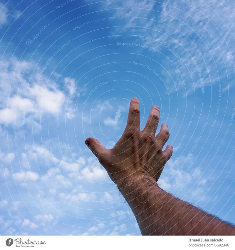hand man gesturing and reaching the blue sky arm fingers skin palm palm of hand body part hand up hand raised arm raised touching feeling pointing gesture