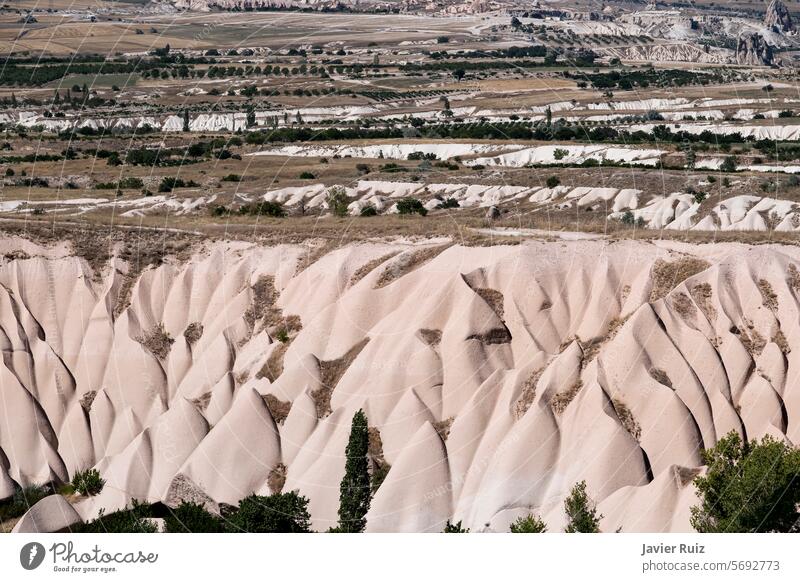 Young fairy chimneys in formation, effect of water erosion on volcanic arenisc rock in Cappadocia, Turkey young rock hoodoo eroded cappadocia turkye land
