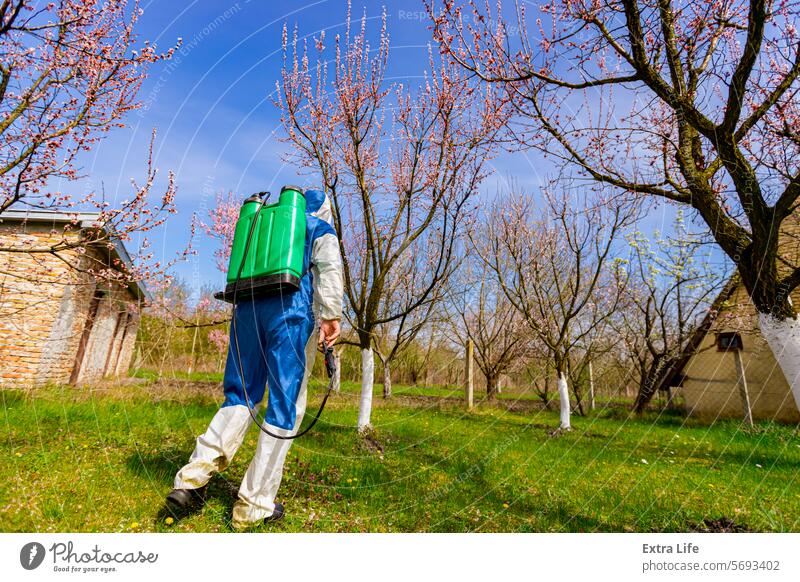 Back view on gardener in protective overall sprinkles fruit trees with long sprayer in orchard Aerosol Agriculture Apple Biochemical Biohazard Botanic Branch