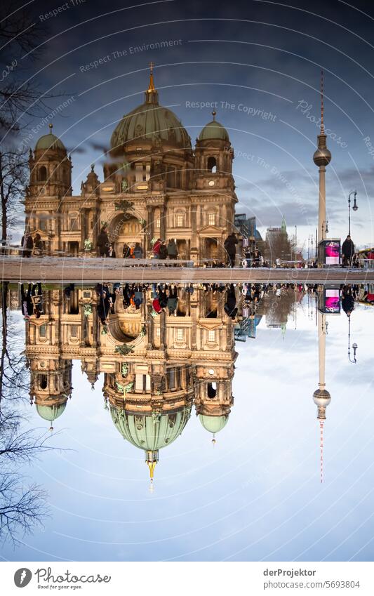 Berlin sights in the puddle II Winter real estate dwell Copy Space top Downtown Berlin Capital city High-rise Urbanization Copy Space right Copy Space left