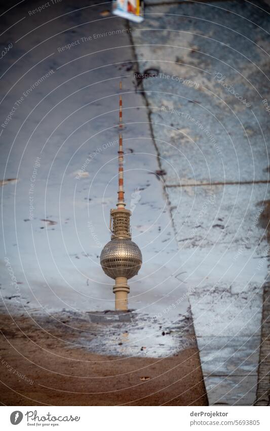 Berlin sights in the puddle IX Winter real estate dwell Copy Space top Downtown Berlin Capital city High-rise Urbanization Copy Space right Copy Space left
