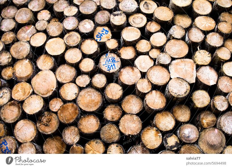 R for... | Log pile Lumber industry wood industry Spruce trunks round wood Stack of wood Round timbers Paper wood Firewood Timber marketing Logging tree trunks