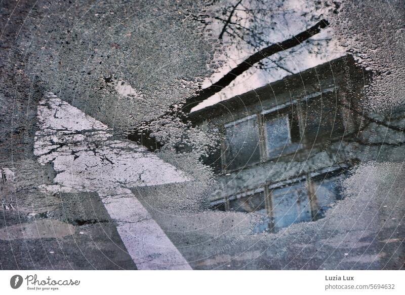 Puddle with beautiful reflection, next to it a weathered directional arrow Wet Street Sky Rain Reflection Water Asphalt Winter trees Building Mirror image