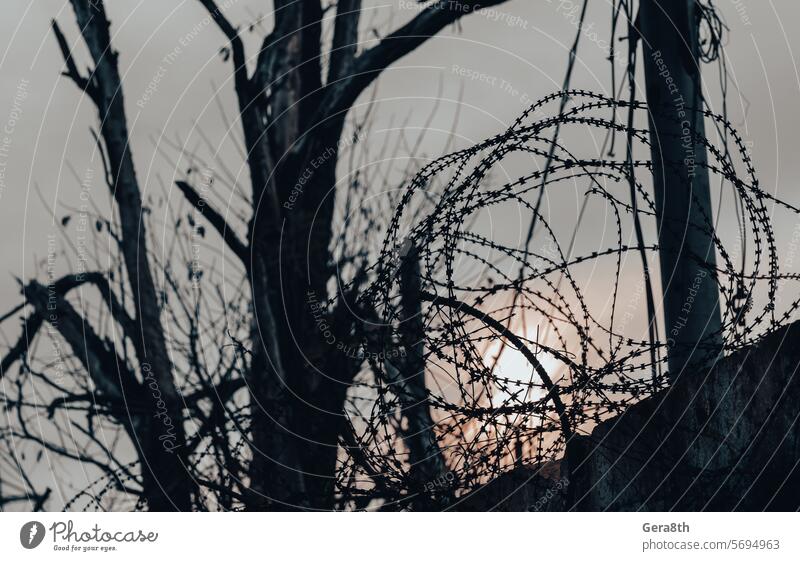 barbed wire fence against the sky in Ukraine Donetsk Kherson Kyiv Lugansk Mariupol Russia Zaporozhye abandon abandoned attack background blown up bombardment
