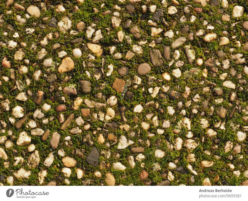 Texture of washed concrete slabs with moss closeup ground covering rough dirty old stone pattern gray textured design uneven nobody grunge backdrop wallpaper