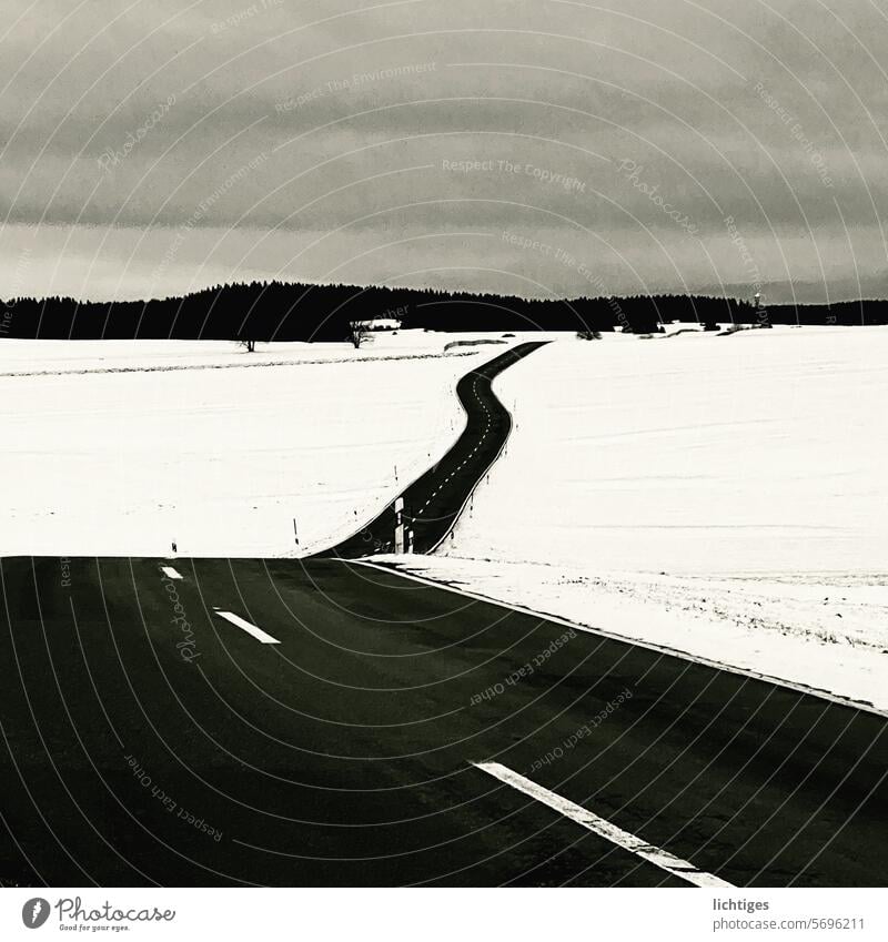 Schwarzweißwas- Black country road through a white snowy landscape off Street Curve Snowscape Breaking optical illusion Horizon Contrast curvy