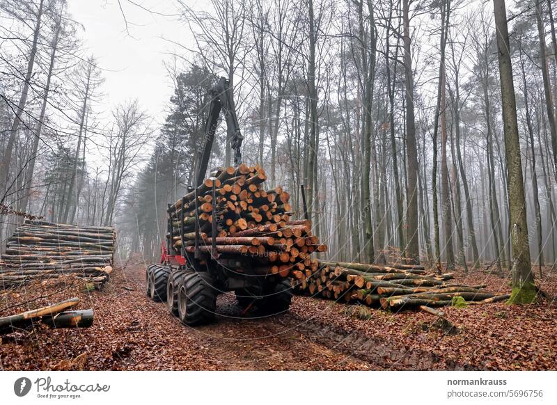 Forestry, Forwarder Lumber industry tree trunks Logging trucks forwarder felling trees Wood Woodcutter woodland Transport special vehicle Forest work