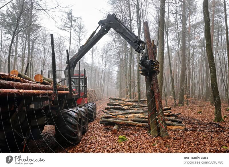 Forestry, Forwarder Lumber industry tree trunks Logging trucks forwarder felling trees Wood Woodcutter woodland Transport special vehicle Forest work