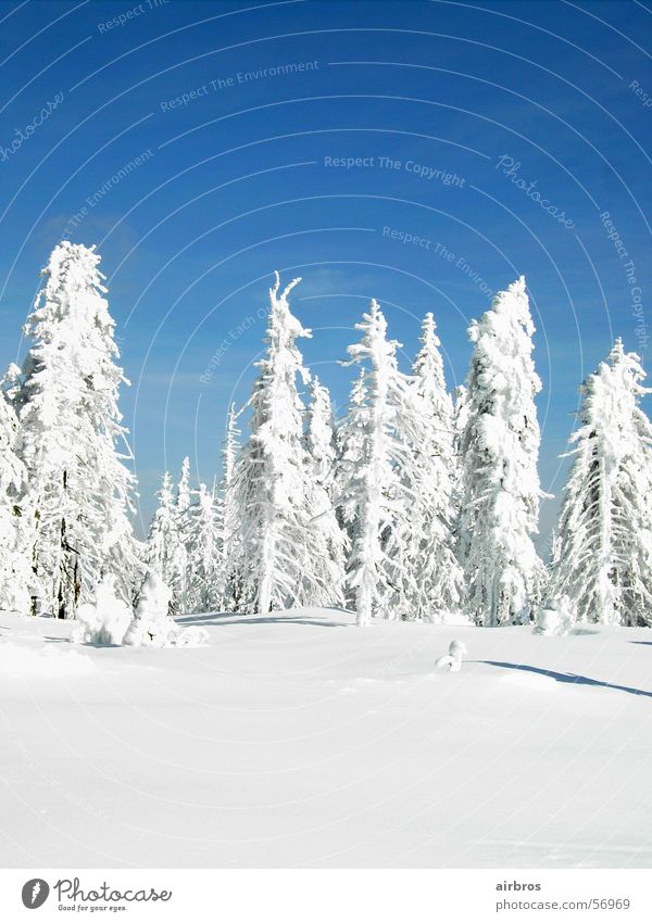 winter high 3 White Gorgeous Snow Sky Blue Sun Shadow