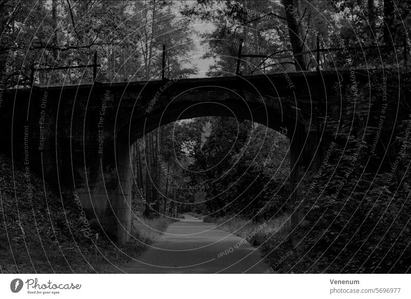 Analog black and white photograph, cycle path in the countryside near Berlin, old railway bridge Analogue photo analogue photography analog photography