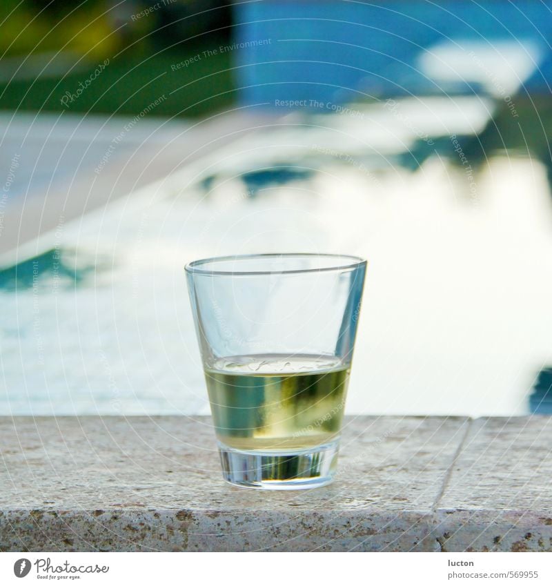 Drink by the pool | Glass of white wine | Martini Food Alcoholic drinks Vine Whitewine glass Elegant Style Vacation & Travel Garden Surface of water