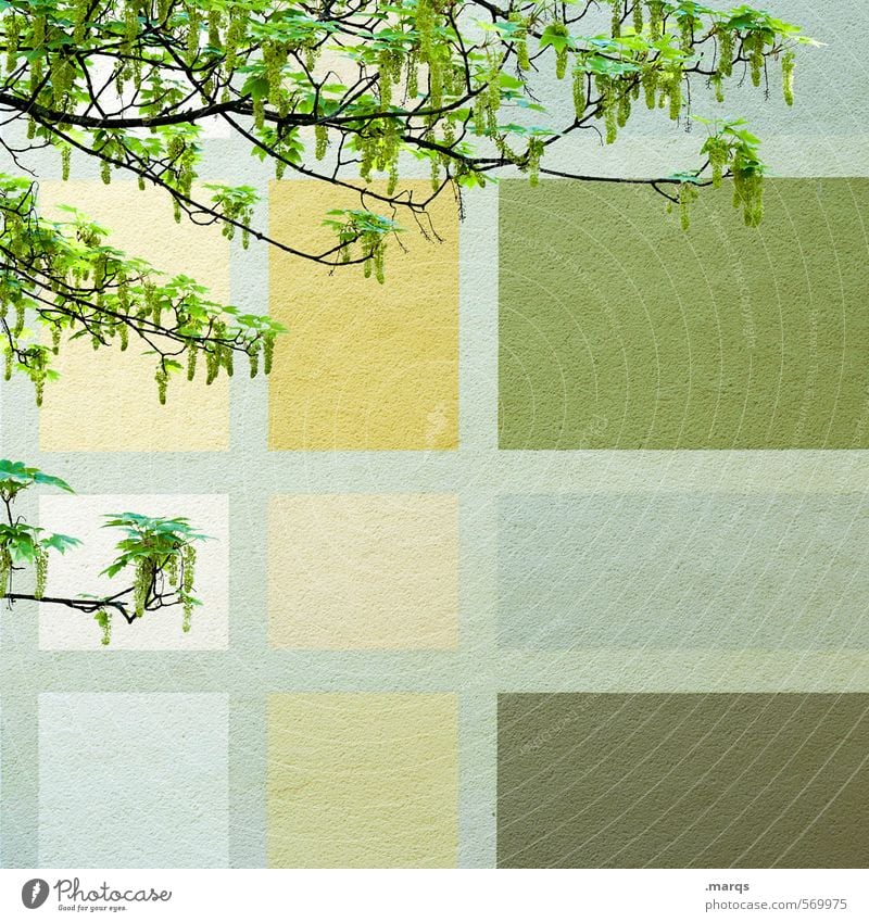 spring fever Style Design Wall (building) Spring Branch Wall (barrier) Facade Blossoming Simple Hip & trendy Beautiful Green Spring fever Colour Arrangement