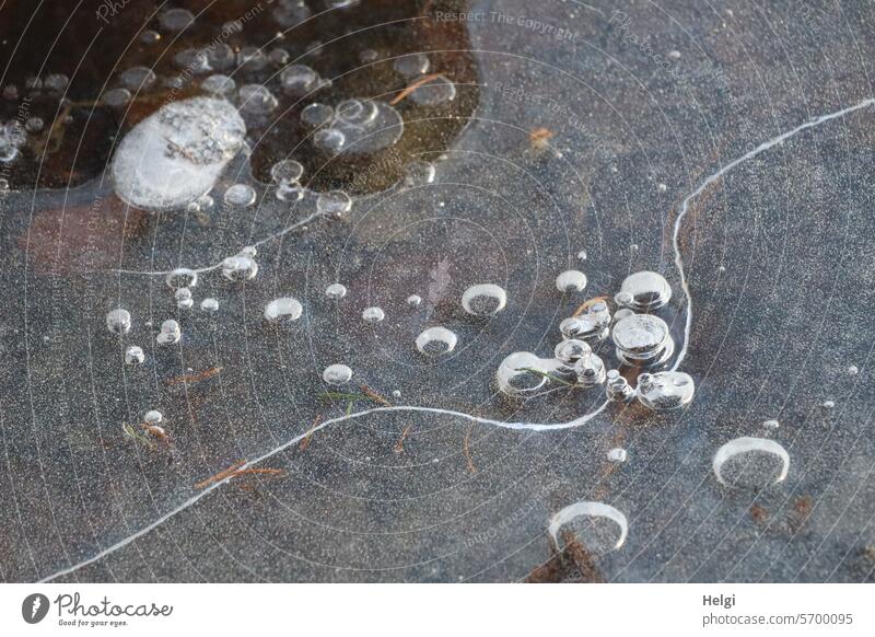 Frozen air bubbles in a pond Winter Ice Frost chill Ice sheet ponds blow Ice structure Round Pattern Cold Freeze Structures and shapes Abstract Exterior shot