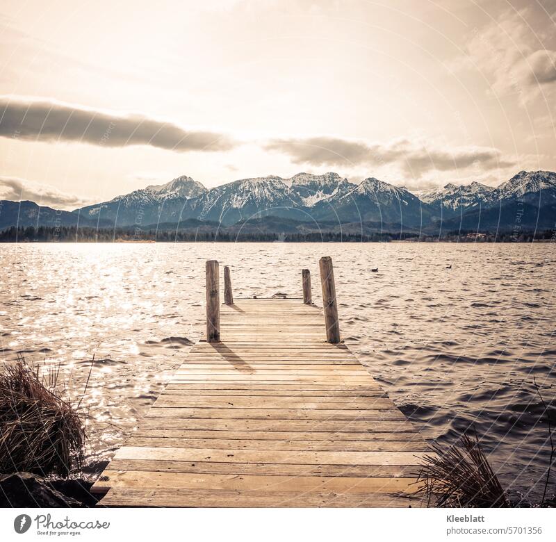 Mountains and water - Steeg am See - Recreation Idyll by the lake Steeg to the water Water mountains snow-capped mountains rock atmospheric Snowcapped peak
