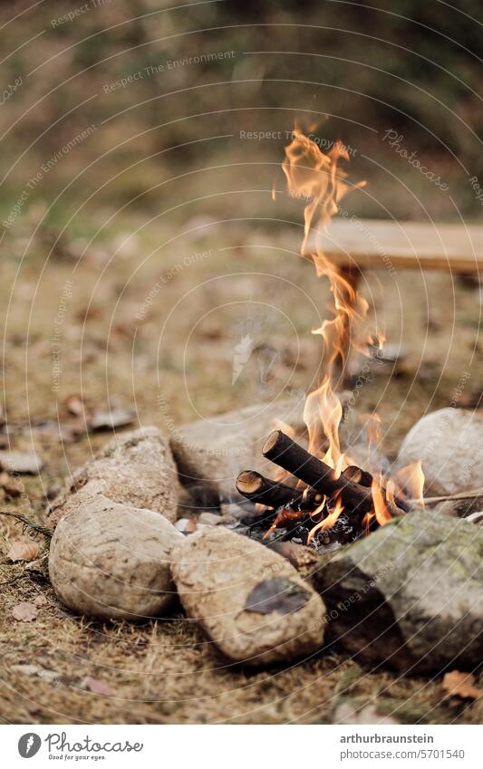 Campfire with dry wood in a stone circle in nature campfire Camp fire atmosphere Stone stones Meadow Nature Experiencing nature Love of nature Fire Fireplace