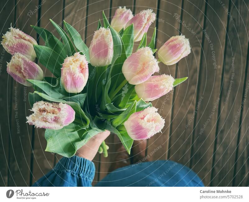 Woman in a denim dress holds fringed tulips in her hand flowers Spring Fringed tulips Fringe tulip Blossom Flower Tulip Tulip blossom Blossoming Plant