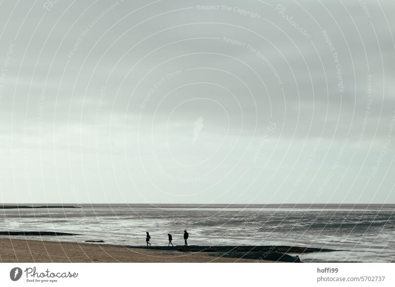 Three people on a North Sea beach in cloudy weather Weather wide Loneliness Gray Silver Misty atmosphere Minimalistic Maritime Bad weather Cold minimalism Calm