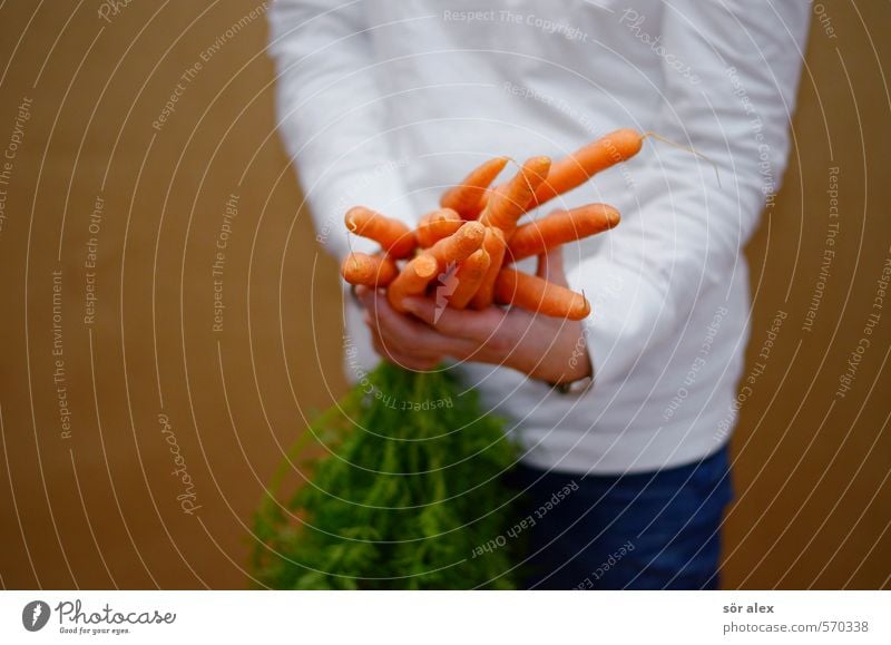 many carrots Food Vegetable Eating Organic produce Vegetarian diet Diet Feminine Woman Adults Hand Upper body 1 Human being Healthy Health care Carrot Many