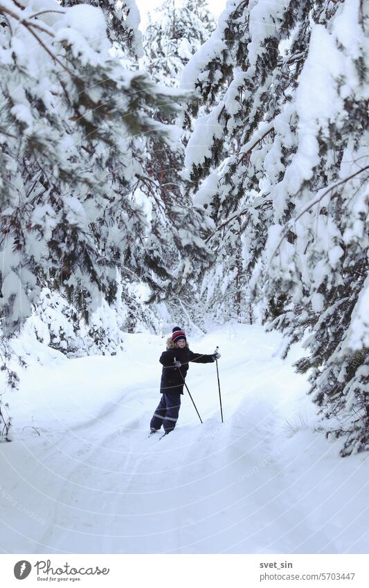 Portrait of a boy skiing in a snowy pine forest. child branch winter cold sport nature skier people active mountains sky hiking adventure extreme landscape