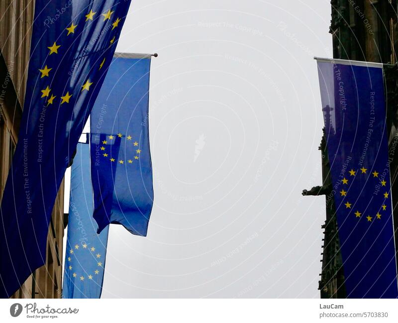 European flags Flag European Union EU Blue Yellow stars Circle Attachment fellowship in common Politics and state Wind Sign symbol Solidarity perfectness
