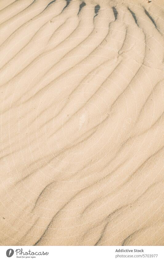 Gentle waves of sand texture on a beach pattern close-up natural serene simple aesthetic soft earth tone background surface detail sandy tranquil undulating