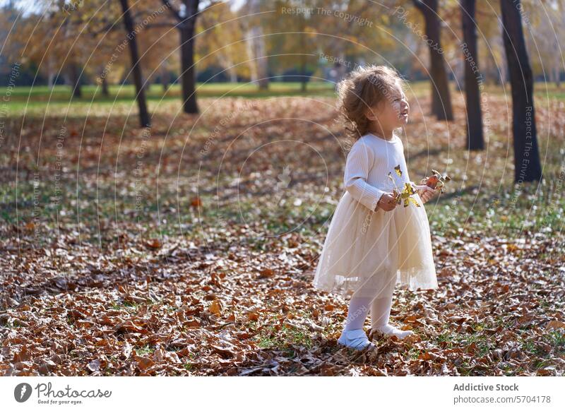 Joyful ethnic child playing with leaves in a park girl autumn california usa nature joy happiness childhood outdoor fall dress smile sunny tree season casual